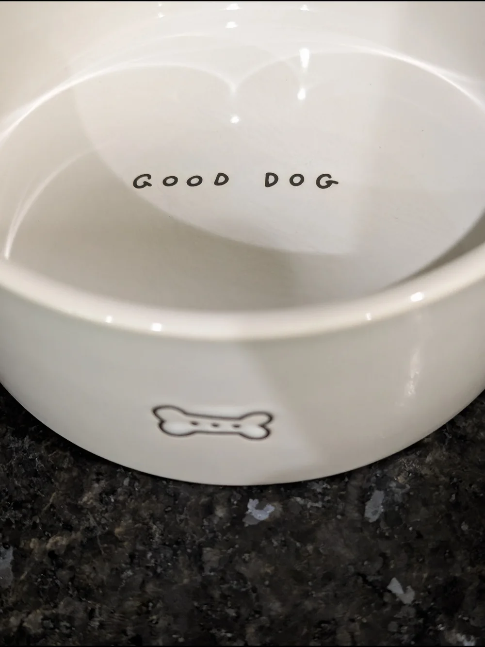 Choice Of One Dog Bowl